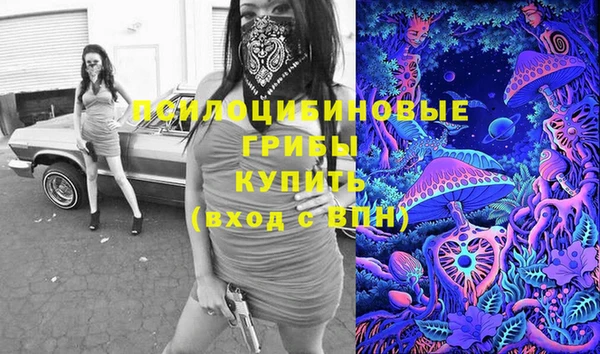 СК Вяземский