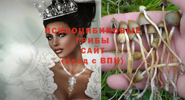 сатива Вязники