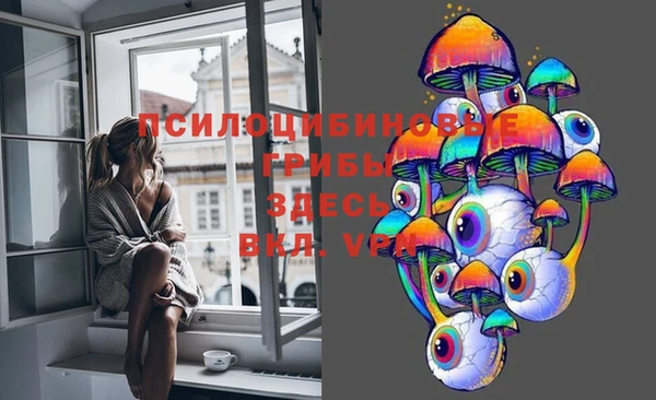 СК Вяземский