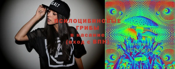 сатива Вязники