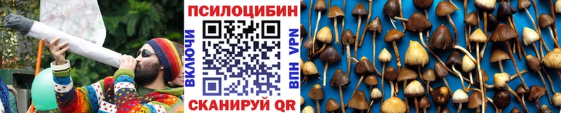 Купить где  Крымск  Галлюциногенные грибы мухоморы 